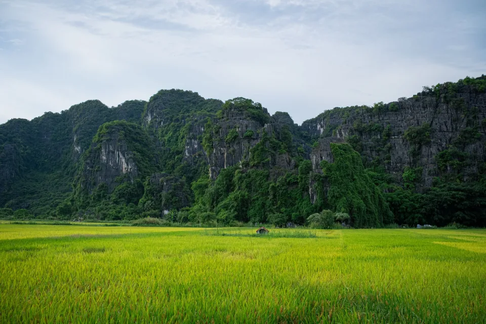 Kho gạo của Nông Sản Phan Thị Cúc